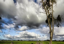 黑白直播-体操总决赛上演强强对话，川蜀霹雳队读秒扳平泰山天虎队，团队配合流畅；目标直指冠军的简单介绍