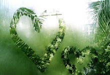 黑白直播-体操总决赛上演强强对话,川蜀霹雳队读秒扳平泰山天虎队,团队配合流畅;目标直指冠军的简单介绍