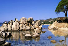 黑白直播-体操总决赛上演强强对话，川蜀霹雳队读秒扳平泰山天虎队，团队配合流畅；目标直指冠军的简单介绍